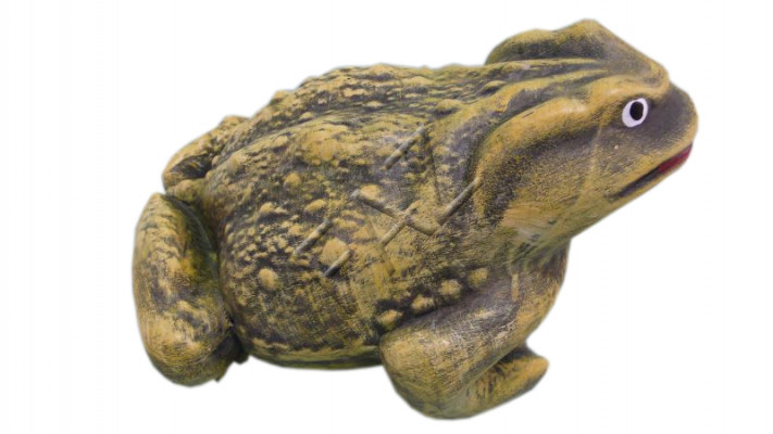 Ontwerp Kikker Figuur Tuin Standbeeld Sculptuur Figuren Sculpturen Decoratie c549