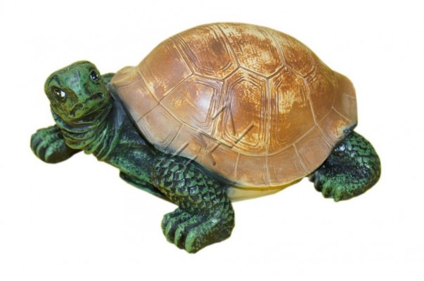 Ontwerp Schildpad Figuur Standbeeld Sculptuur Figuren Sculpturen Tuindecoratie