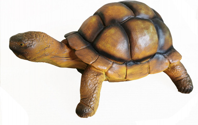 Schildpad Zoo Tuin Dier Figuur met de hand beschilderd Beeld Decoratie Standbeeld Decoratie