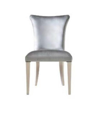 Eetkamerstoel Stoel Zitter Fauteuil Eetkamerstoelen Hout Zilver Modern Luxe Nieuw