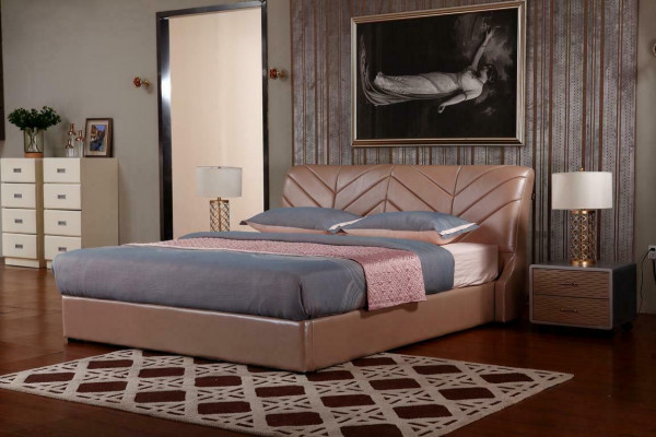 Modern luxe design bed XXL bedden stijl hotel dubbel leder 140 160