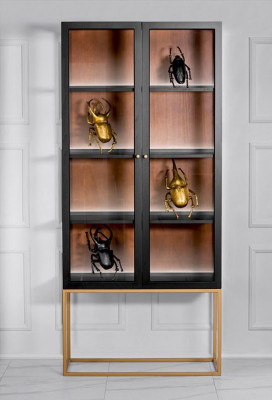 Vitrine kasten Vitrine kast Hout Glas Meubels Ontwerp Woonkamer Glazen kast