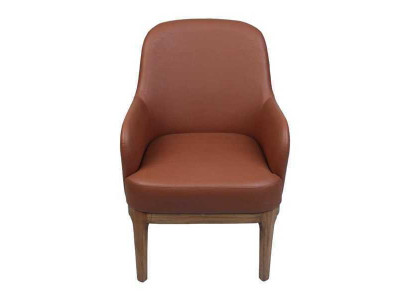 Bruine woonkamer fauteuil ontwerper single luxueuze fauteuil stoelen.