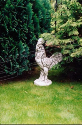 Tuindecoratie Kip Standbeeld Sculptuur Beelden Sculpturen Ontwerper