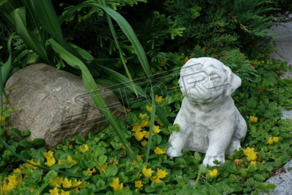 Tuindecoratie Hond Terras Steen Figuur Figuren Wit Decoratief Beeld