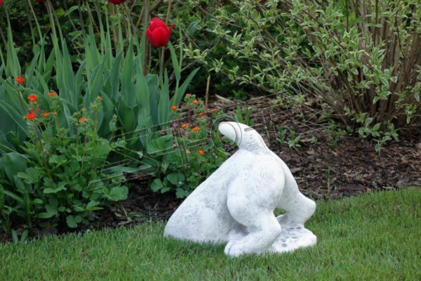 Tuindecoratie Hond Terras Steen Wit Beeldjes Decoratieve Standbeeld Figuur