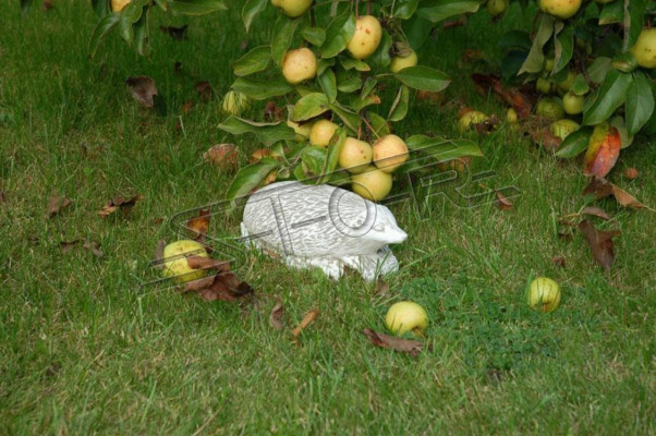 Tuindecoratie egel terras stenen figuren figuur decoratie standbeeld.