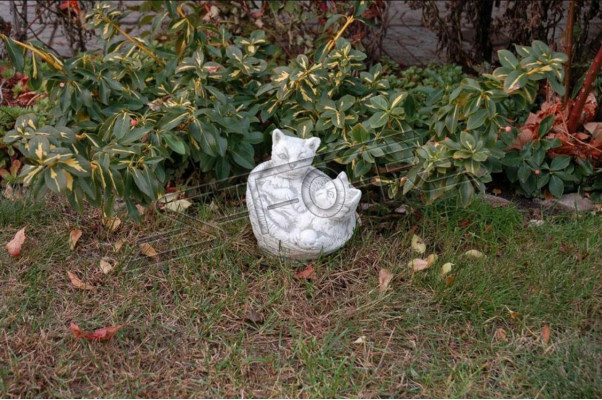 Tuindecoratie Kat Terras Steenfiguren Figuur Decoratief Standbeeld