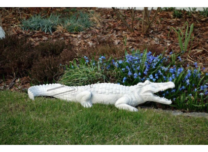 Tuindecoratie Krokodil Terras Steen Figuren Figuur Standbeeld