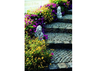 Tuindecoratie Leeuwenstandbeeld Beeld Sculpturen Ontwerper