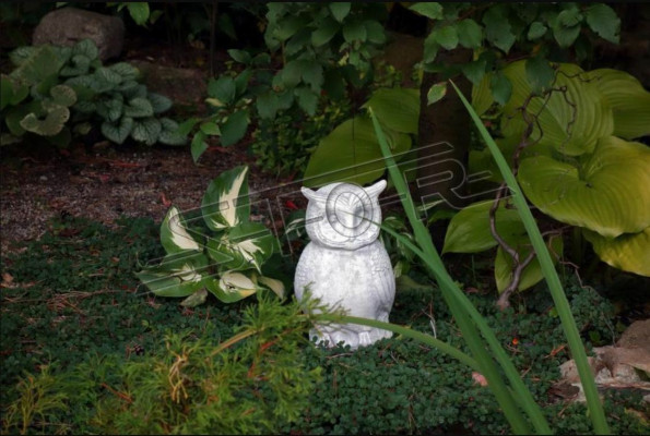 Tuin Natuur Decoratie Uil Terras Steen Figuren Figuur Decoratief Standbeeld