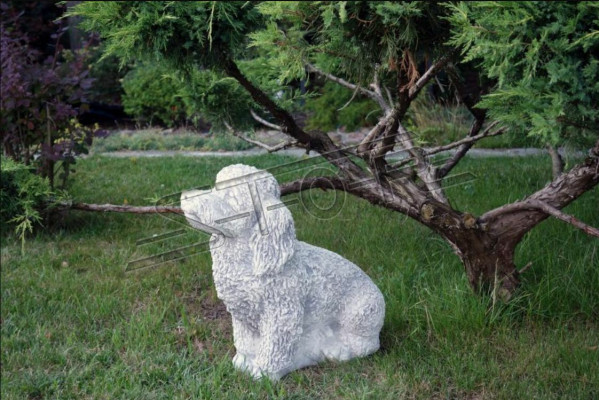 Tuin Wit Decoratie Hond Steen Terras Figuur Figuren Decoratief Standbeeld