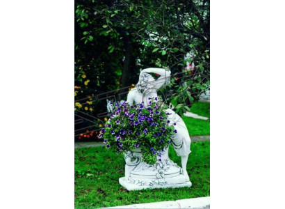 Emmer Bloempot Pot Bloemen Bloempotten Bloembakken Tuin Figuur