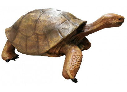 Ontwerper Figuur Moderne Figuren Decoratie Schildpad Tuin Sculptuur Sculpturen