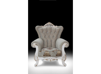 Prachtige fauteuil in klassieke stijl voor de woonkamer met glanzende patronen.