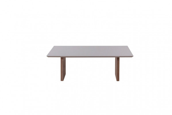 Salontafel 120 x 68 Tafel Meubilair Inrichting Houten tafels Modern Meubels