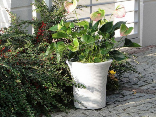 Bloemenmand beeld Bloemen Vaas Vaas Tuin Terras Standbeeld Decoratie