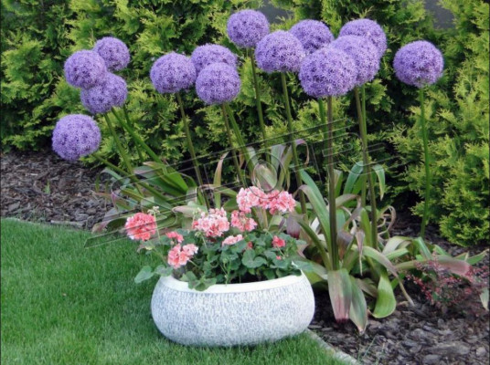 Bloempot Natuur Planten Pot Decoratie Tuin Vazen Figuur Bloempotten