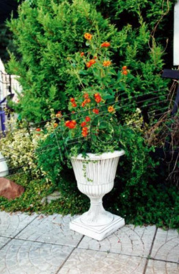 Bloempot Plantenbak Decoratiefiguur Bloempotten Tuin Vazen