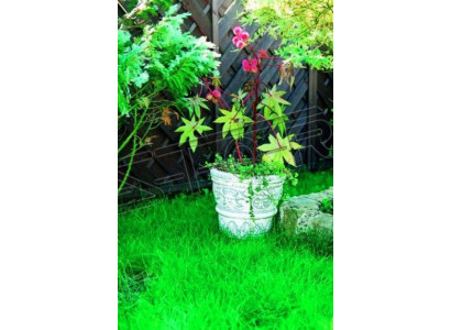 Bloempot Plantenbak Decoratie Natuur Figuur Bloempotten Vazen Tuin