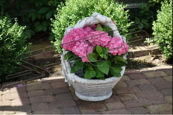Bloembak Plantenbak Decoratie Natuur Tuin Figuur Vazen Bloempotten