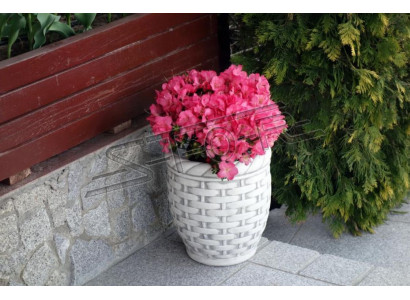 Bloempot Plant Pot Decoratie Vaas Figuur Natuur Tuin Bloempotten