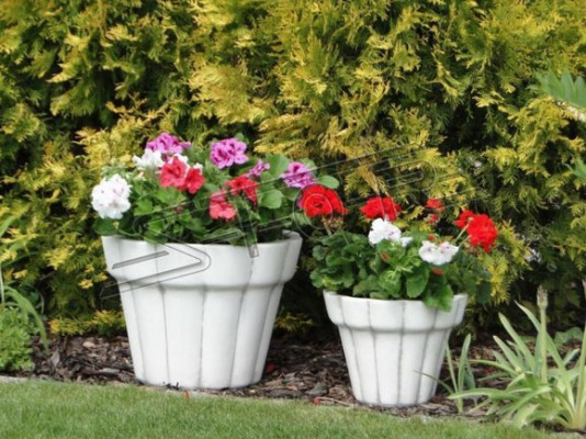 Bloembak Plantenpot Decoratie Vazen Tuin Natuur Figuur Bloempotten