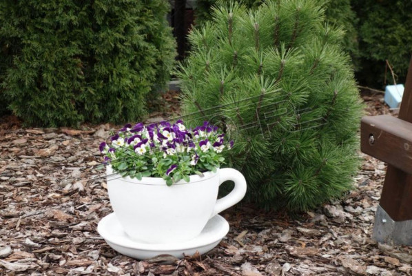 Bloembak plant pot natuur decoratie vazen figuur tuin bloempotten