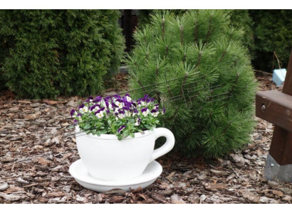 Bloembak plant pot natuur decoratie vazen figuur tuin bloempotten