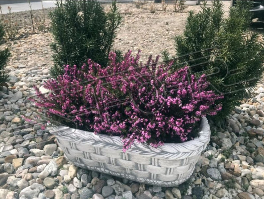 Bloembak plant natuur pot decoratie tuin vazen bloempotten figuur