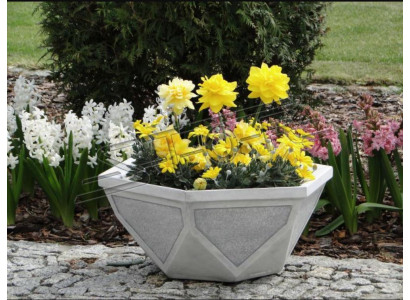 Bloempot Plant Natuur Pot Decoratie Tuin Vazen Beeld Bloempotten
