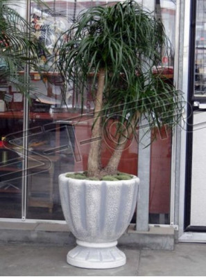 Ontwerp Bloempot Decoratieve Plantenbak Emmer Vaas Potten Figuur Gezicht