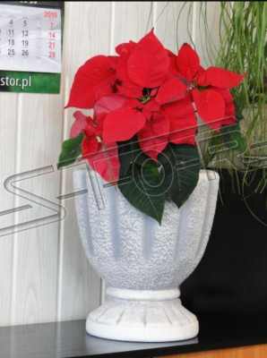 Ontwerp Bloempot Top Decoratie Planten Emmer Gerecht Potten Figuur Gezicht Sculptuur