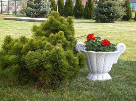 Ontwerp Bloempot Top Plank Decoratie Emmer Vaas Figuur Potten Gezicht Sculptuur.