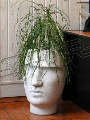 Ontwerp Bloempot Top Planter Deco Pot Figuur Potten Gezicht Sculptuur