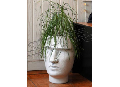 Ontwerp Bloempot Top Planter Deco Pot Figuur Potten Gezicht Sculptuur