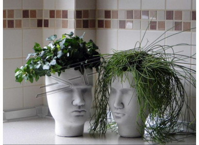 Ontwerp Bloempot Top Plantenbak Vaas Figuur Potten Decoratie Gezicht Sculptuur