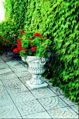 Ontwerp Bloempot Top Planz Kuip Vaas Potten Decoratieve Figuur Gezicht