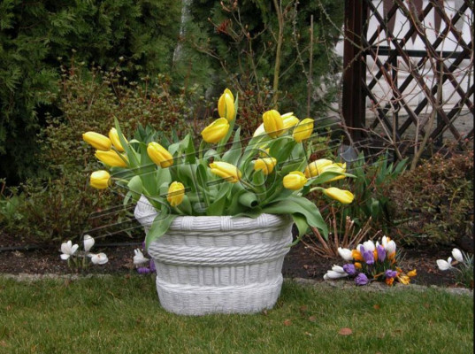Ontwerp Bloempot Top Planz Emmer Vaas Potten Figuur Decoratie Gezicht Beeldhouwwerk