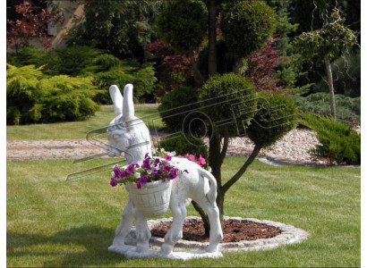 Ontwerp Figuur Ezel Sculptuur Figuren Beelden Standbeelden Standbeeld Tuin