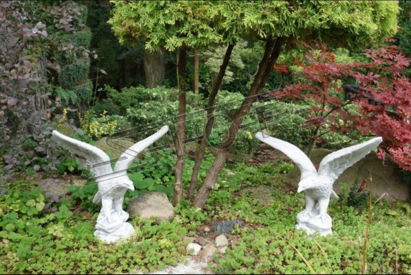 Figuur Adelaar Tuin Standbeeld Sculptuur Sculpturen Decoratieve Beelden