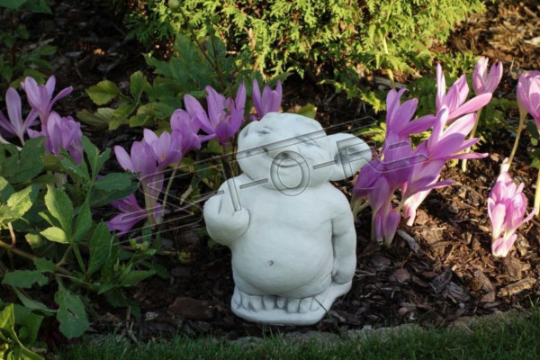 Figuur Standbeeld Tuindecoratie Decoratie Stinkvinger Middelvinger Beelden Onmiddellijk
