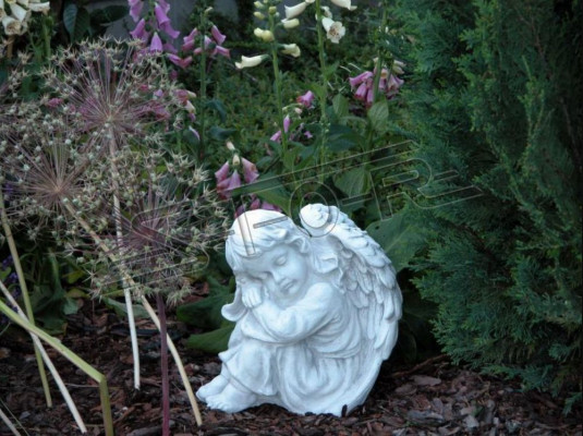 Tuindecoratie engel standbeeld sculptuur figuren sculpturen