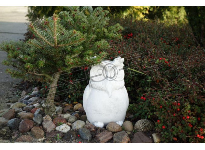 Tuindecoratie Uil Terras Steen Decoratieve Figuren Natuur Standbeeld