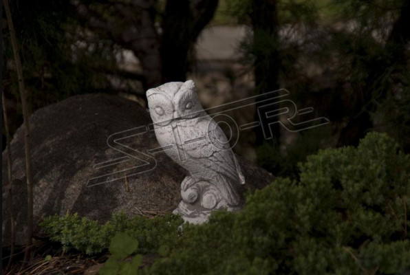 Tuinversiering Uil Terras Steen Natuur Figuren Figuur Decoratief Standbeeld