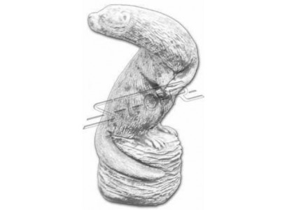 Tuindecoratie Bunzing Terras Steen Figuren Beeld Decoratie