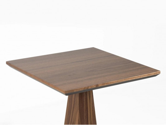 Woonkamer bijzettafel hout decoratie ontwerp salontafel nieuw meubilair