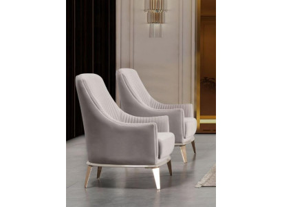 Fauteuil Groep Oorfauteuil Modern Stof Zitter Polyester 2-delig Set Grijs