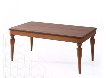 Salontafel Luxe Design nieuw Woonkamermeubels bruin Tafel Hout