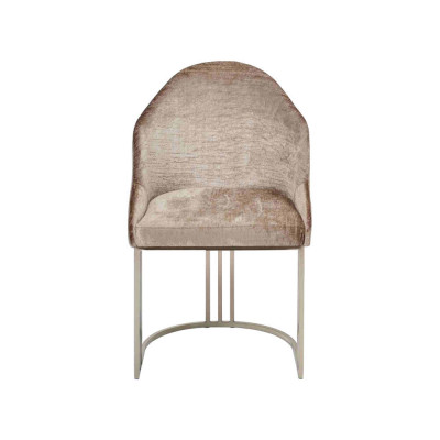 Eetkamerstoel 1-zits fauteuil Roestvrij staal Luxe Modern Meubelontwerp Nieuw